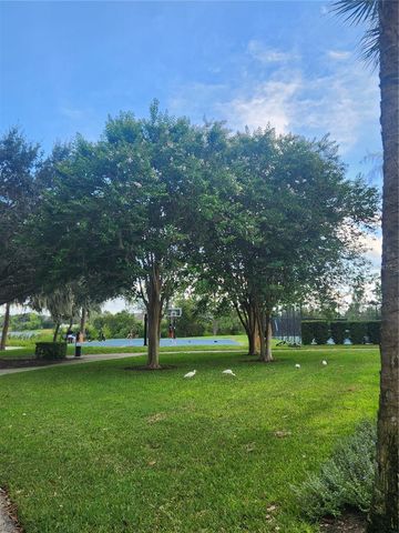 13808 ANCILLA BOULEVARD, Windermere, FL 34786