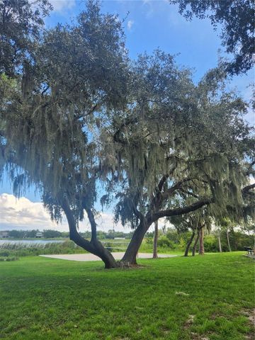 13808 ANCILLA BOULEVARD, Windermere, FL 34786