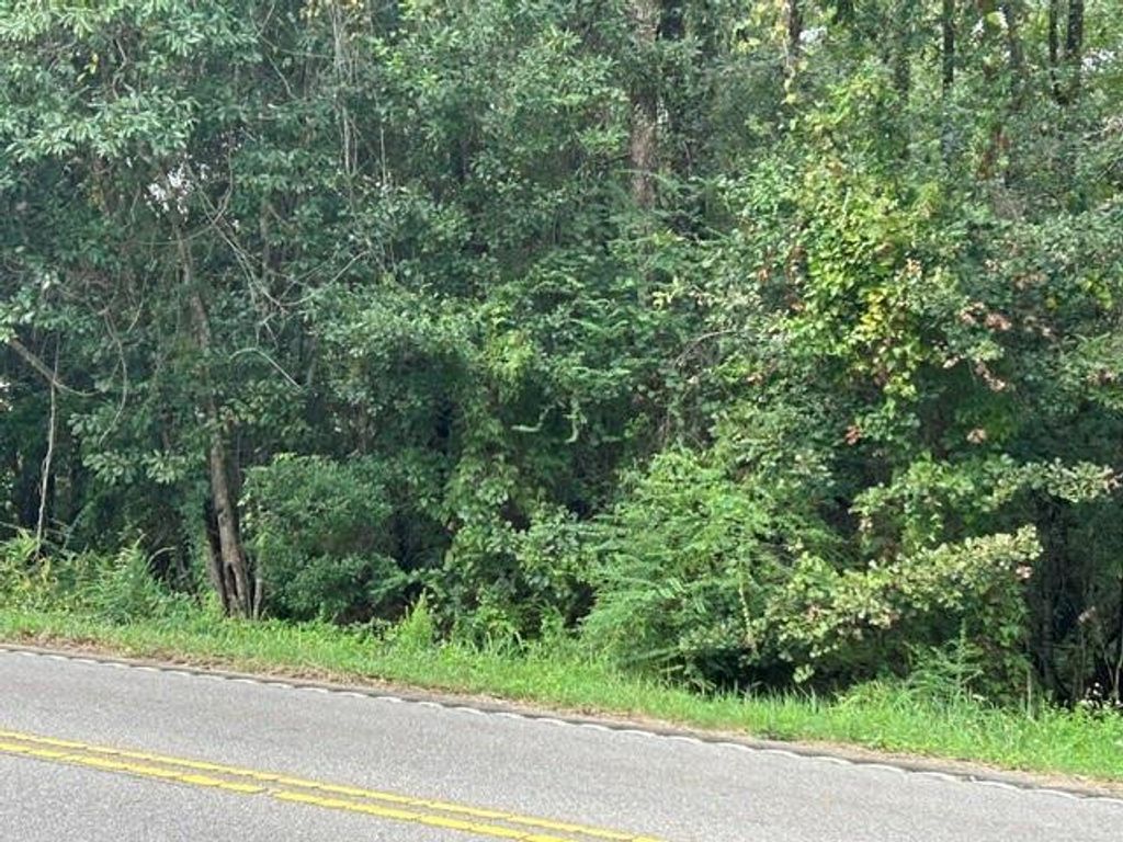 9226 Dauphin Island Parkway S, Theodore, AL 36582 — photo 2