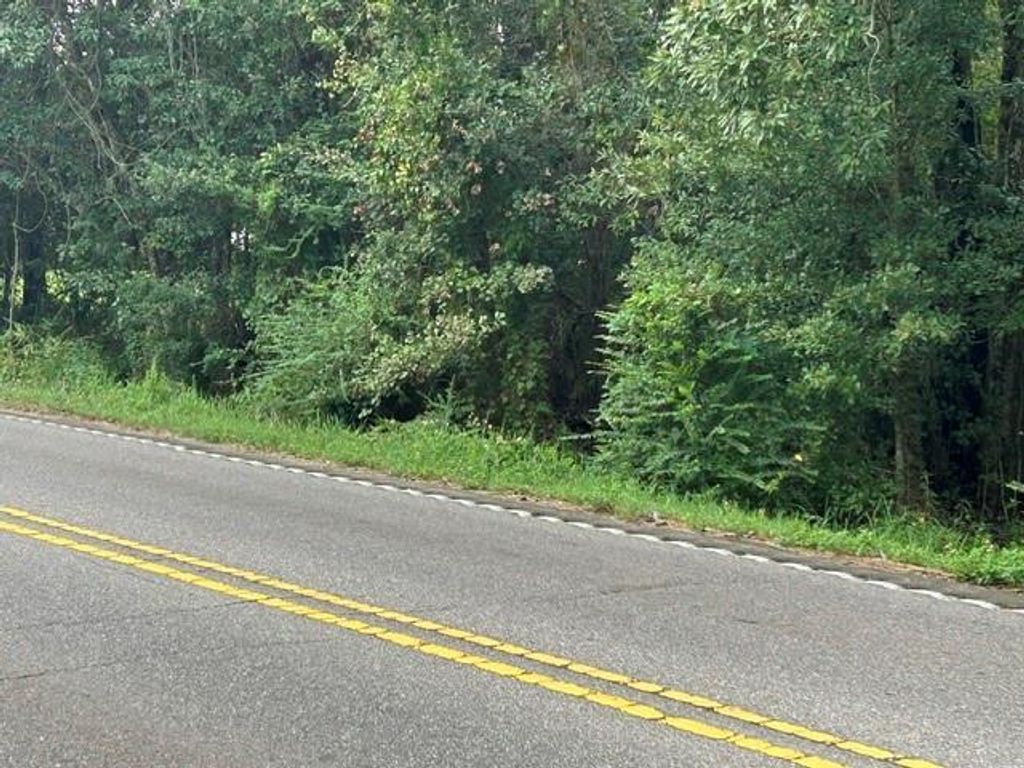 9226 Dauphin Island Parkway S, Theodore, AL 36582 — photo 3