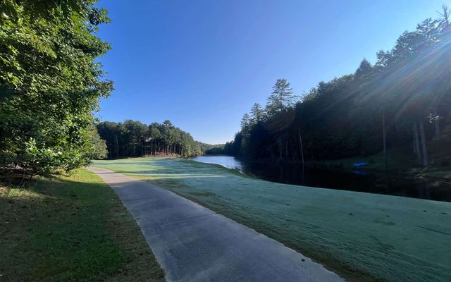 LT 88 Shenandoah Drive, Ellijay, GA 30540