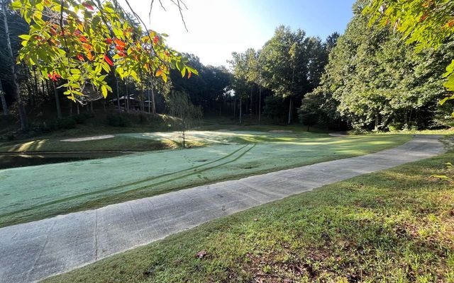 LT 88 Shenandoah Drive, Ellijay, GA 30540