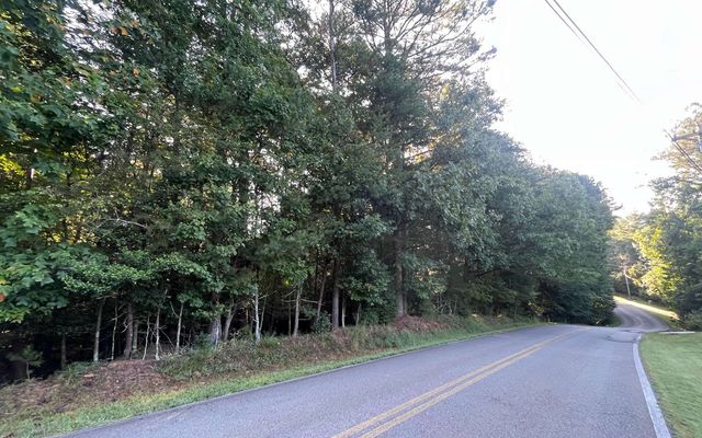LT 88 Shenandoah Drive, Ellijay, GA 30540