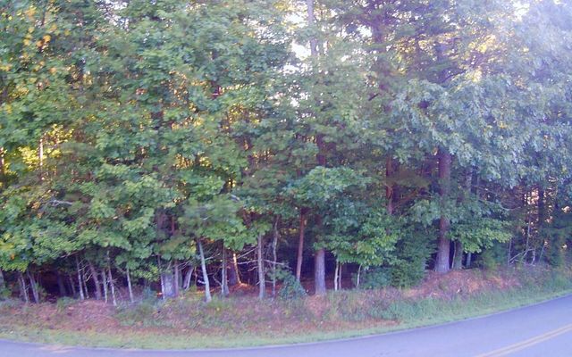 LT 88 Shenandoah Drive, Ellijay, GA 30540