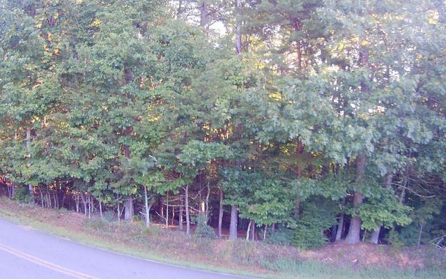 LT 88 Shenandoah Drive, Ellijay, GA 30540