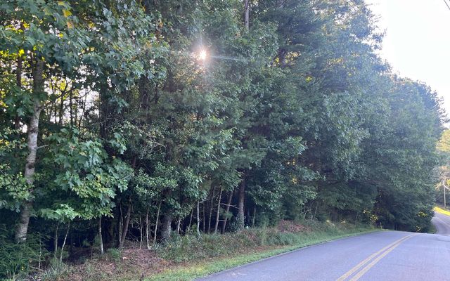 LT 88 Shenandoah Drive, Ellijay, GA 30540