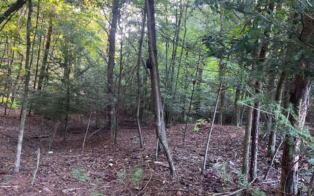 LT 88 Shenandoah Drive, Ellijay, GA 30540