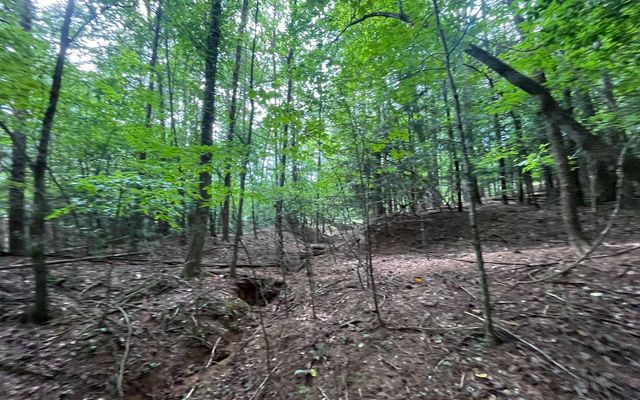 LT 88 Shenandoah Drive, Ellijay, GA 30540