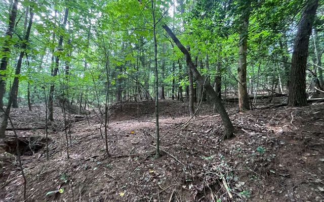 LT 88 Shenandoah Drive, Ellijay, GA 30540
