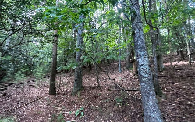 LT 88 Shenandoah Drive, Ellijay, GA 30540