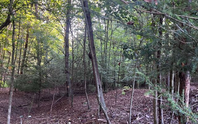 LT 88 Shenandoah Drive, Ellijay, GA 30540