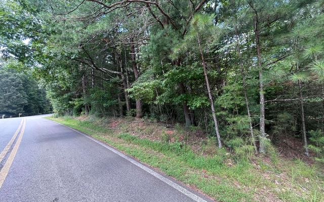 LT 88 Shenandoah Drive, Ellijay, GA 30540