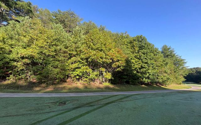 LT 88 Shenandoah Drive, Ellijay, GA 30540