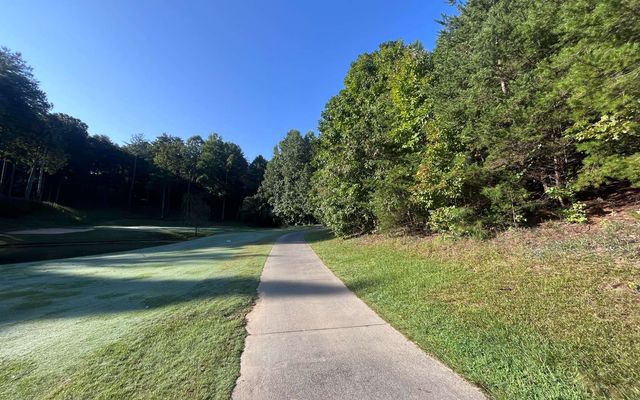 LT 88 Shenandoah Drive, Ellijay, GA 30540