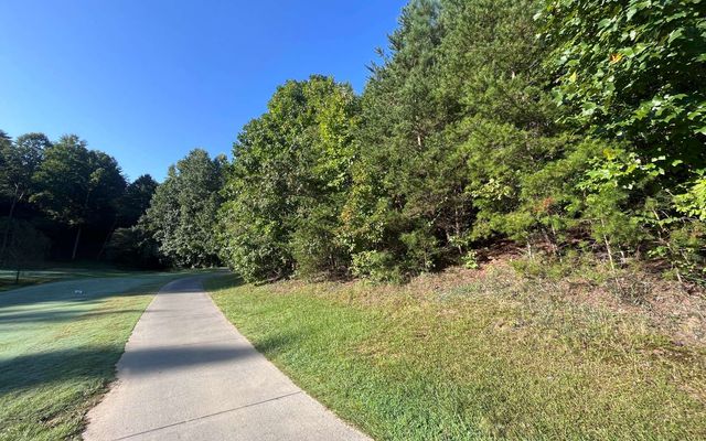 LT 88 Shenandoah Drive, Ellijay, GA 30540