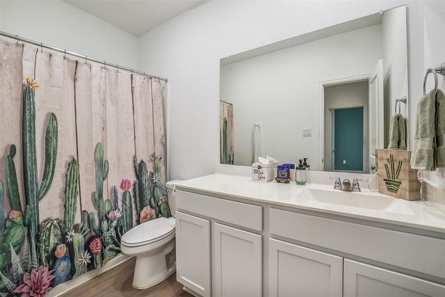 21419 Blue Tuna Drive, Cypress, TX 77433