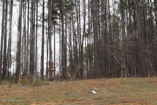 Ella Lane, Byhalia, MS 38611