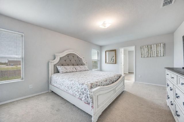 926 Hurstwood Drive, Van Alstyne, TX 75495