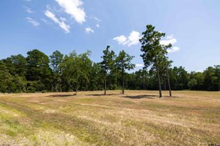 15483 Aniston Ln - (LOT 1), Flint, TX 75762