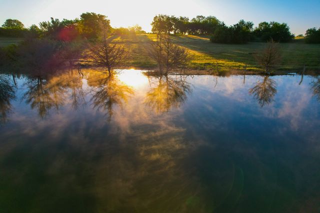 2000 County Road 2950, Dodd City, TX 75438