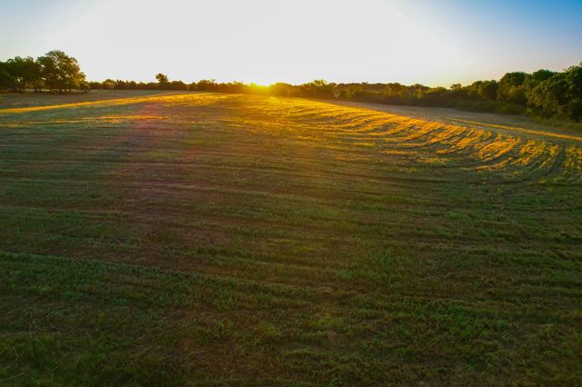 2000 County Road 2950, Dodd City, TX 75438