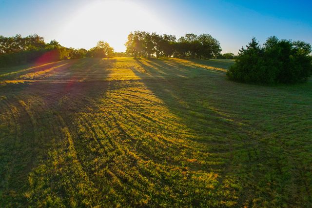 2000 County Road 2950, Dodd City, TX 75438
