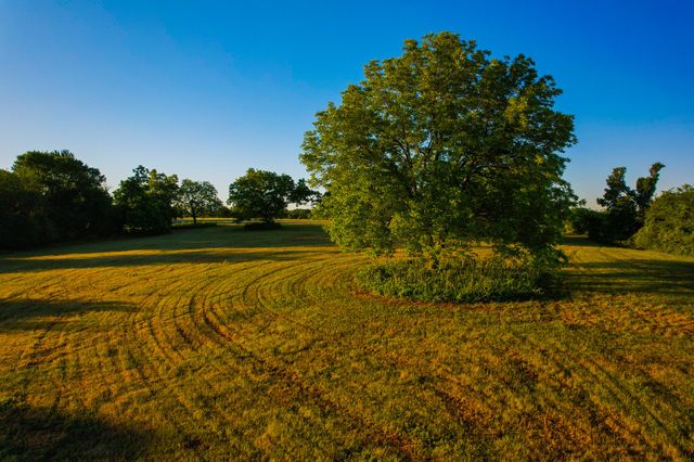 2000 County Road 2950, Dodd City, TX 75438