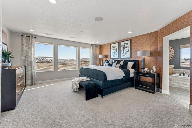 4207 Canister Point, Castle Rock, CO 80108