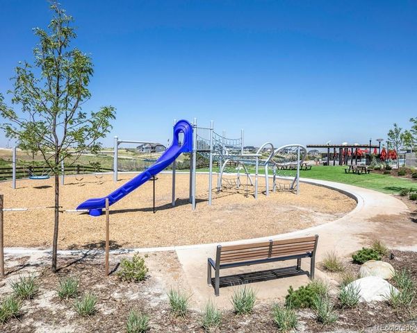 4207 Canister Point, Castle Rock, CO 80108