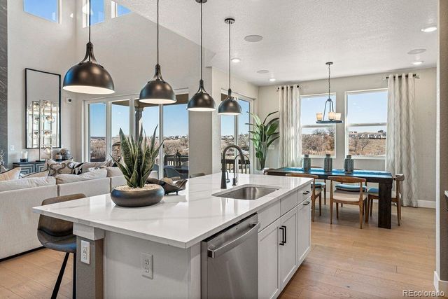 4207 Canister Point, Castle Rock, CO 80108