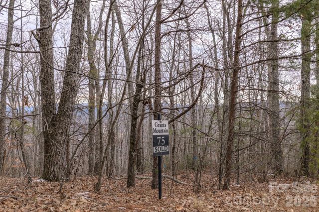 2724 Mountain Crest Drive S 75, Marion, NC 28752