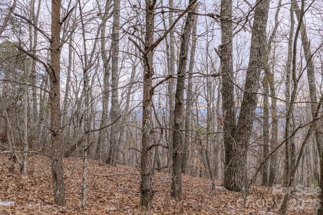 2724 Mountain Crest Drive S 75, Marion, NC 28752