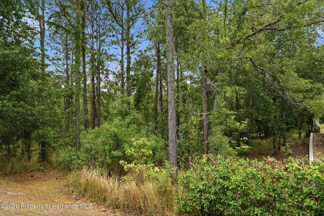 13897 Blythewood Drive, Spring Hill, FL 34609