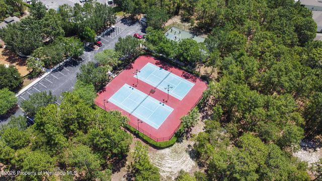 13897 Blythewood Drive, Spring Hill, FL 34609