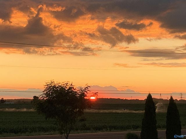 17461 Fieldway Circle, Harvest, AL 35749