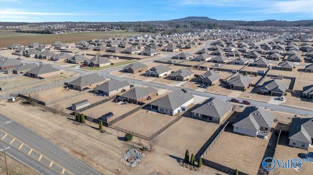 17461 Fieldway Circle, Harvest, AL 35749