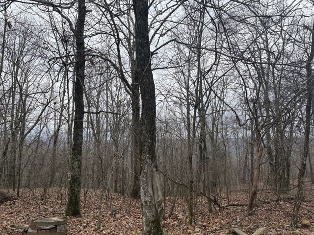 0 Nancy Wynn Ln, Sewanee, TN 37375