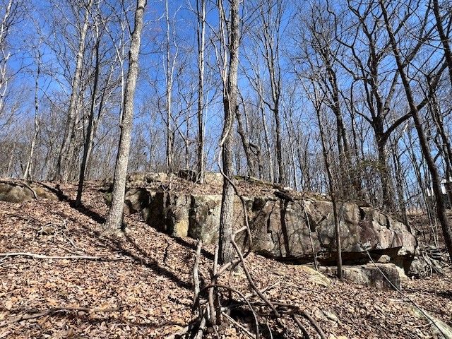 0 Nancy Wynn Ln, Sewanee, TN 37375