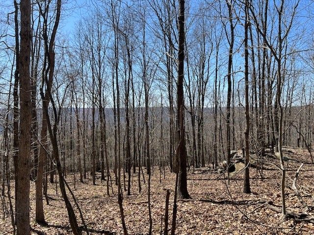 0 Nancy Wynn Ln, Sewanee, TN 37375
