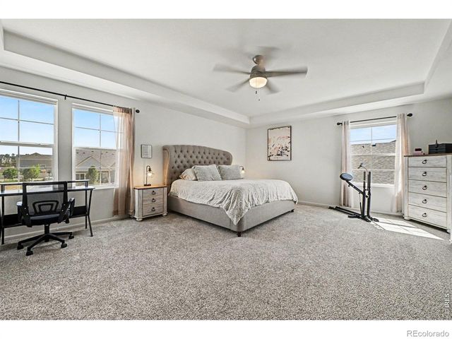 4282 Lacewood Lane, Johnstown, CO 80534