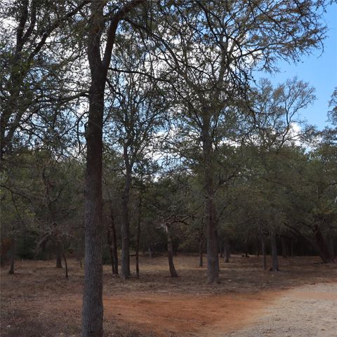 282 Texas Oak DR, Cedar Creek, TX 78612