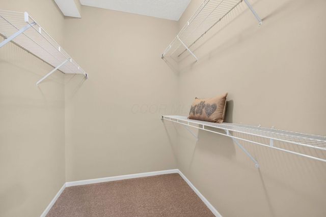 7434 Falls View Circle, Delaware, OH 43015