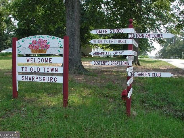 107 Beverly Farms Drive, Sharpsburg, GA 30277