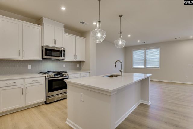 262 Summer Orchard Drive, Lexington, SC 29072