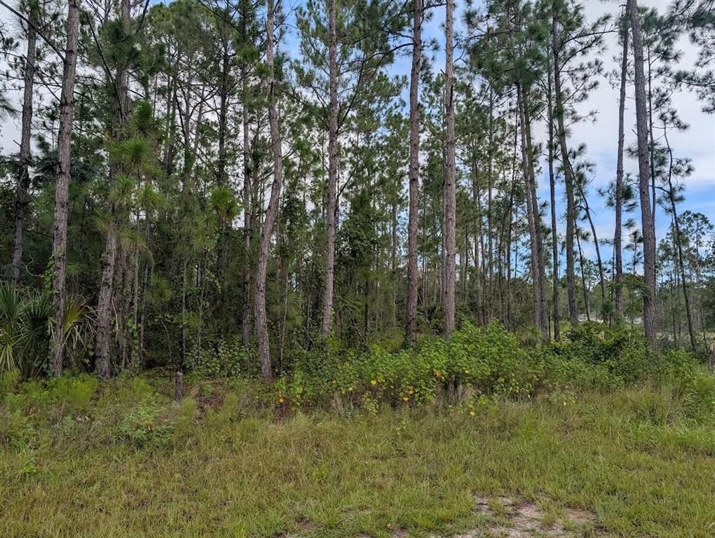 1122 POINCIANA DRIVE, Indian Lake Estates, FL 33855