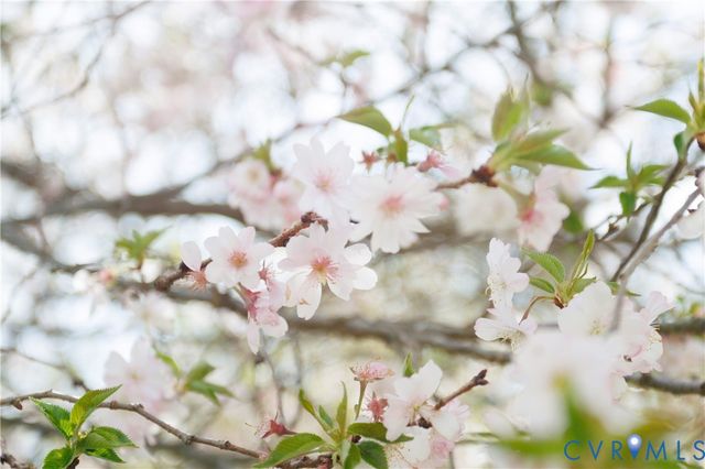 7049 Tammy Ct, Mechanicsville, VA 23111