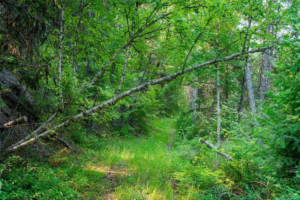 NHN E Lakeshore Drive, Whitefish, MT 59937 photo 11