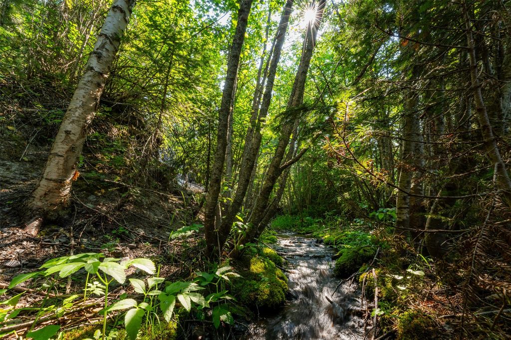 NHN E Lakeshore Drive, Whitefish, MT 59937 photo 20