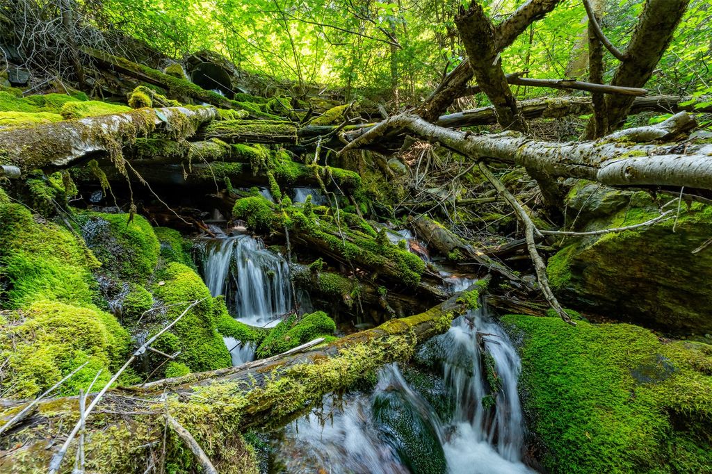 NHN E Lakeshore Drive, Whitefish, MT 59937 photo 24