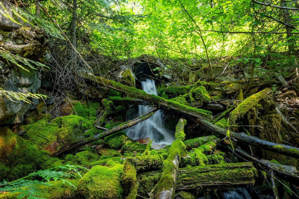 NHN E Lakeshore Drive, Whitefish, MT 59937 photo 25